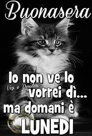 Buonasera Io Non Ve Lo Vorrei Di Ma Domani E Lunedi Domanielunedi Buonanotte Immagini Buongiorno