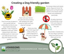 Naturehills.com has been visited by 10k+ users in the past month How To Create A Dog Friendly Garden Johnsons Of Whixley