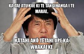 Te Mana o Te Reo Māori