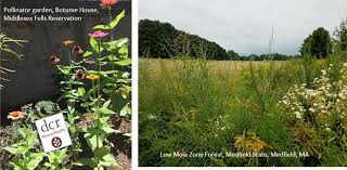 A hardiness zone is a geographically defined area in which a specific category of plant life is capable of growing, as defined by climatic conditions, including its ability to withstand the minimum temperatures of the zone. Growing Wild Massachusetts Mass Gov