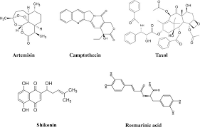 Plant cell and tissue differentiation and secondary metabolites fundamentals and applications. Production Of Plant Secondary Metabolites By Using Biotechnological Tools Intechopen