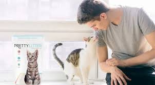 Low prices and *free* shipping on orders $49+ plus the best customer service! 30 Best Pet Subscription Boxes For Dogs Cats 2021 Fiveboxes Com