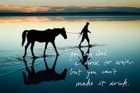 Funny Love Quotes Funny Quotes You Can Lead A Horse To Water