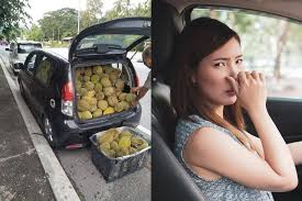 Meletakkan pewangi khas memang berkesan untuk menghilangkan bauan tersebut, tetapi apabila harumannya habis, bau yang sama muncul semula. 8 Cara Mudah Untuk Hilangkan Bau Durian Di Dalam Kereta Car Owners Guides Carlist My