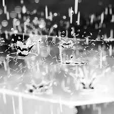 Black And White Anime Backround Https Encrypted Tbn0 Gstatic Com Images Q Tbn 3aand9gctwqgrnf2fivepbam Yuhxttd4oqkyxt5wkgg Usqp Cau