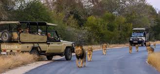 Kruger National Park South Africa Vacation South Africa Holidays South Africa Tours