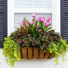Changed to keep the original file name when saving with date. 12 Container Garden Combos