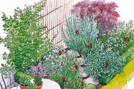 Frische Wurze Aus Dem Garten Ein Krauterbeet Anlegen Garten Krauterbeet Anlegen Krauterbeet
