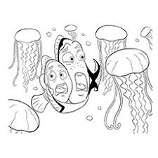 Finding dory is a 2016 animated film, directed by andrew stanton, produced by pixar and distributed by walt disney pictures. 40 Finding Nemo Coloring Pages Free Printables