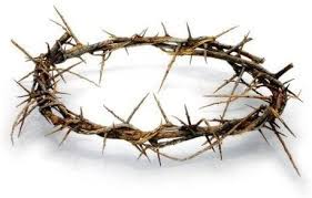 Find images of crown of thorns. Amazon Com Passion Of Christ Crown Of Thorns Authentic Crown Of Thorns Comes In Gift Box With Description Home Kitchen
