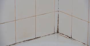 Mold In Shower Caulk Try These Easy Fixes