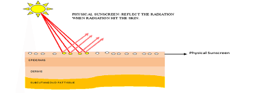 fig a4 diagrammatic representation of the physical