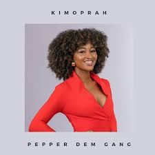 Naija news had reported earlier that bbnaija 2019 kicked off on sunday, june 30 at this online news platform understands that the housemates or bbnaija pepper dem edition include: Bbnaija 2019 Meet The 2019 Housemates Photos Nigeria News