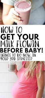 5 Important Things To Do In Your Third Trimester To Ensure Breastfeeding Success The Postpartum Cure Breastfeeding Baby Breastfeeding New Baby Products