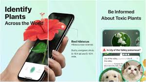 A citizen science project on biodiversity plantnet is our number one pick for a totally free plant identification app. Top 9 Best Plants And Flowers Identification Android App 2021 Fuentitech