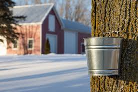 For a sinful idea, try maple caramel: How To Make Maple Syrup This Season