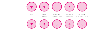 Hunkemöller pants brazilian schnitt quantity menge. Brazilian Waxing Alle Fakten Im Uberblick Sine Sine