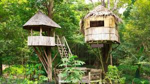 Taman safari bogor salah satu kebun binatang terbesar di indonesia. Sensasi Menginap Di Rumah Pohon Taman Safari