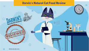 We discuss these options with you, explain the advantages and disadvantages of each procedure and find the optimum. Darwin S Natural Cat Food Review All About Cats