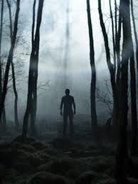 Image result for tbn:4mmkjMMqwlJGnM::img5.allocine.fr/acmedia/medias/nmedia/18/35/06/11/p4.jpg