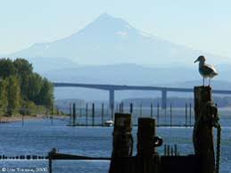 If you are interested in other similar forums, please check out the related forums section on the right. First Vehicles Cross The Glenn L Jackson Bridge Over The Columbia River On December 15 1982 Historylink Org