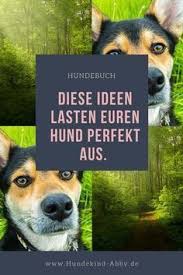 anzeige das grosse schnuffelbuch fur jedermann hundekind abby hundeblog hunde hundespruche beschaftigung fur hunde