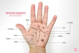 The Academy Palm Reading Palmistry Numerology