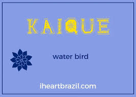 What's the most common last name starting with k? 100 Brazilian Boy Names With Meanings I Heart Brazil