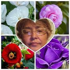 Betty Ríos 🇻🇪🙏🇻🇪 (@Bettkrios57)