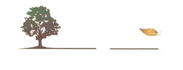 Joyce A. Schaefer Obituary March 7, 2004