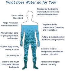 Progressive Science Links Emotions To Pure Water Majesty