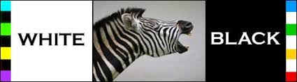Maybe you would like to learn more about one of these? Are Black White Colors