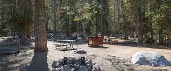 Maybe you would like to learn more about one of these? Lodgepole Campground Sequoia Kings Canyon National Parks U S National Park Service
