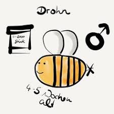 Um früchte ernten zu können und samen für neue pflanzen hervorzubringen, braucht es bienen und hummeln. Bienen