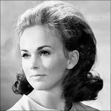 Search Sheila Grove Obituaries and Funeral Services