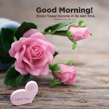 We did not find results for: Top Attractive And Good Morning Flowers With Images Good Morning Images Quotes Wishes Messages Greetings Ecards