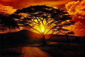 R&eacute;sultat de recherche d'images pour 