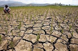 Cuaca yang lebih panas dan kering. Kesan El Nino Mula Dirasai Di Asia