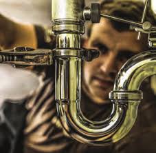 Private Rancher in the Woods