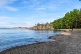 Maybe you would like to learn more about one of these? Favoritt Strender I Sandefjord Guide