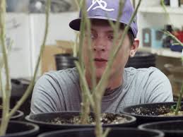 Prime Video: High Profits Season 1