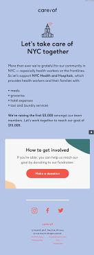 How to write a formal email. Fundraising Emails To Help Those Struggling During The Pandemic Email Design