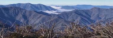 Dec 18, 2017 · a trip to mt buller during the summer is a great way to relax, unwind, recover from the festive season, and recharge in readiness for the year ahead. Mt Buller Summer Developments On Track New Reservoir Nearly Wrapped Up Mountainwatch