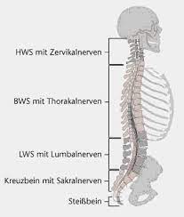 Was Ist Ein Wirbelbruch Verschiedene Formen Des Wirbelbruchs Gesund Co At