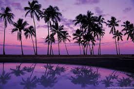 Hawaii ocean coast sunset wallpaper 2560×1440. Hawaii Sunset Background Posted By Christopher Peltier