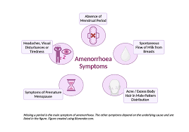 Image result for Progesterone Challenge Test