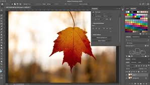 You can easily delete this background using the remove background action. How To Make A Background Transparent In Photoshop Digital Trends