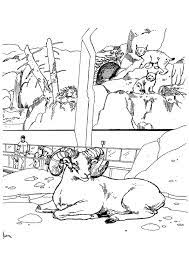 Coloriage Zoo Bouquetin Lynx Coloriage Zoo Coloriage Zoo
