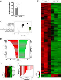 Has been providing heating & cooling products and services to the grand lake area for 26 years. Hepatocyte Cannabinoid 1 Receptor Nullification Alleviates Toxin Induced Liver Damage Via Nf Kb Signaling Cell Death Disease