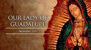 We did not find results for: Our Lady Of Guadalupe